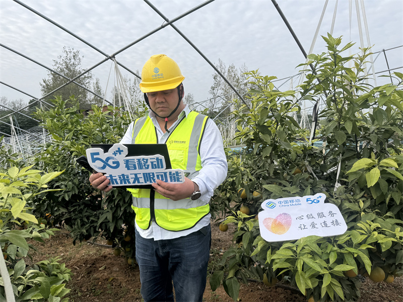移动技术人员优化果园网络