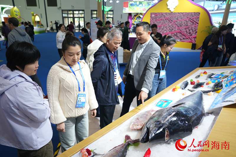 展台上，来自陵水的一条大型金枪鱼吸引客商的目光，在现场将举行“开鱼秀”。