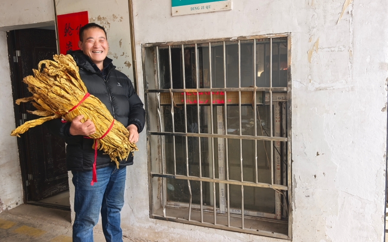 董辉伦交售烟叶场景。