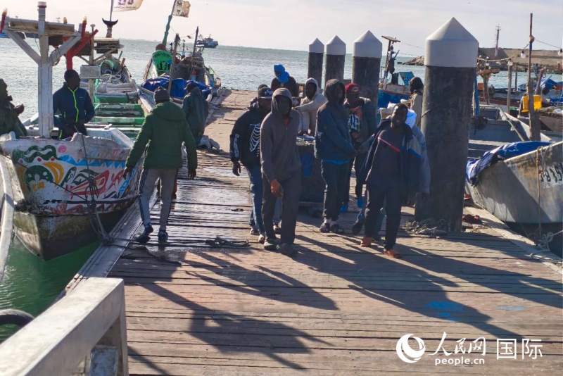 渔民们正在运载收获在鲜鱼 人民网记者黄培昭摄