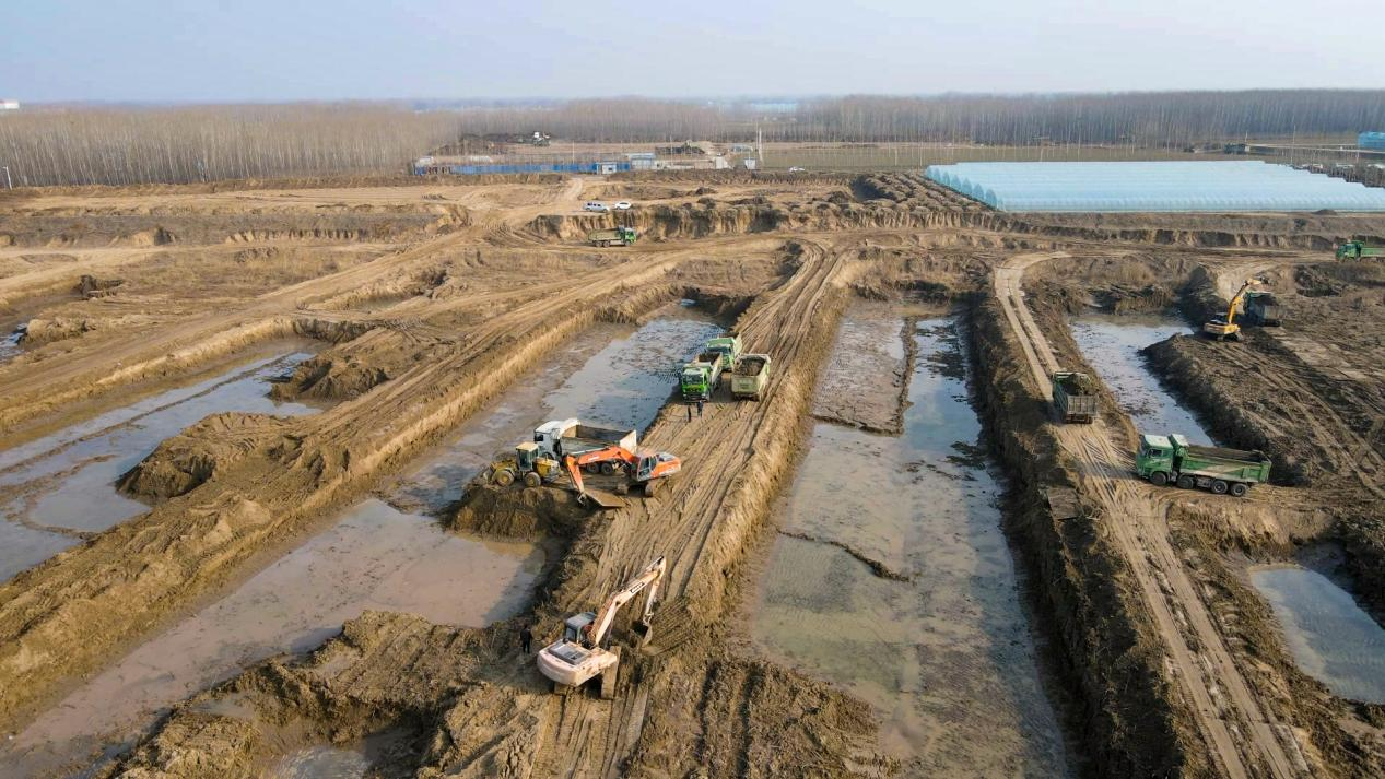 位山灌区西沉沙池6号池清淤工程施工现场。山东省水利厅供图