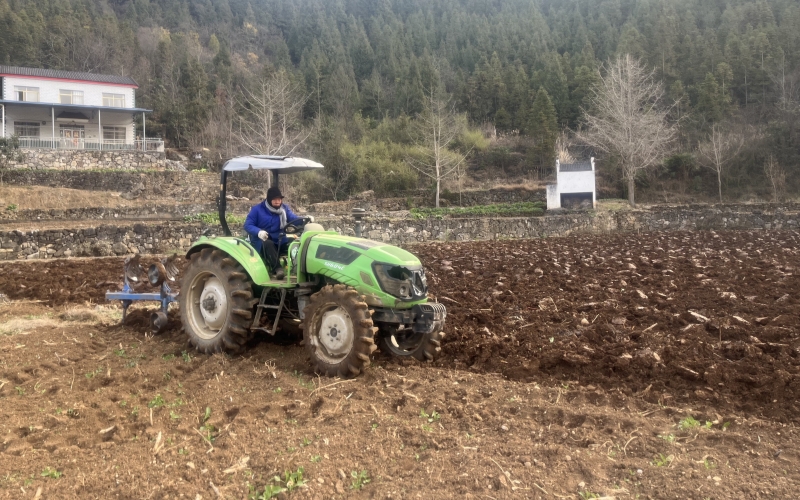 村民正在开展烟田冬翻晒垡作业。