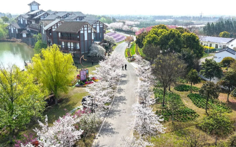 孝南景区。