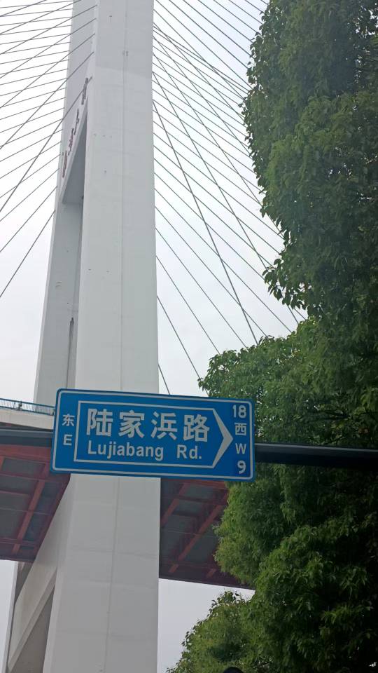 网友拍照记录整改后的新路牌。