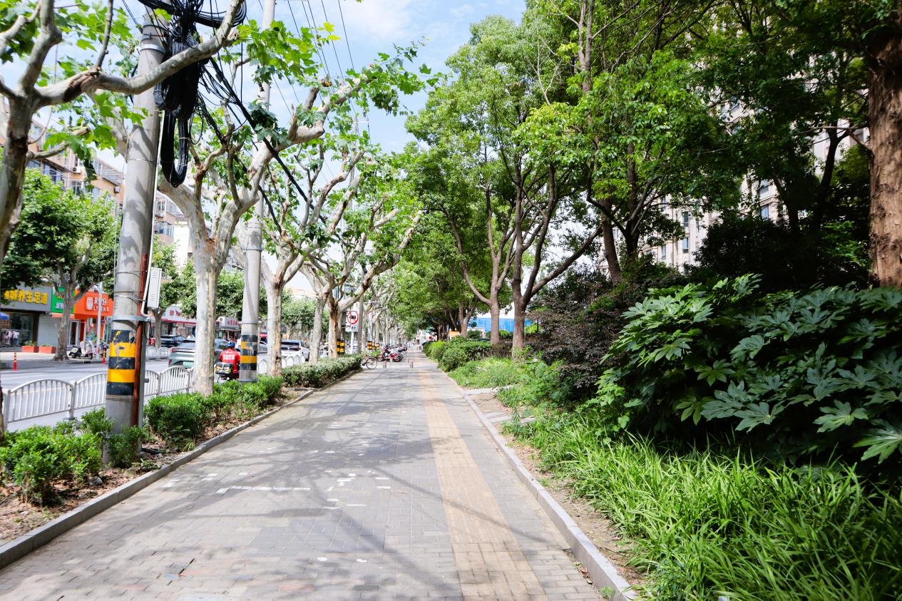 整改后,盘古路樟岭路公交站附近人行道畅通。实习生 杨雯摄